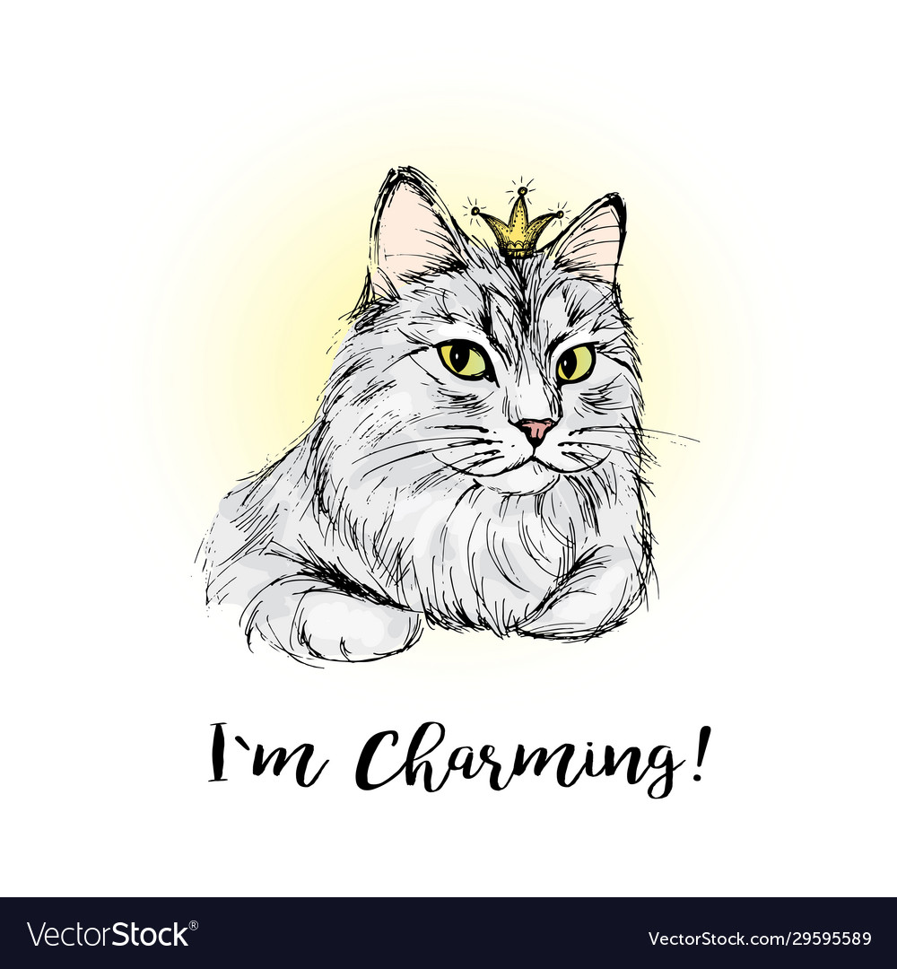 Charming cat with lettering hand drawing