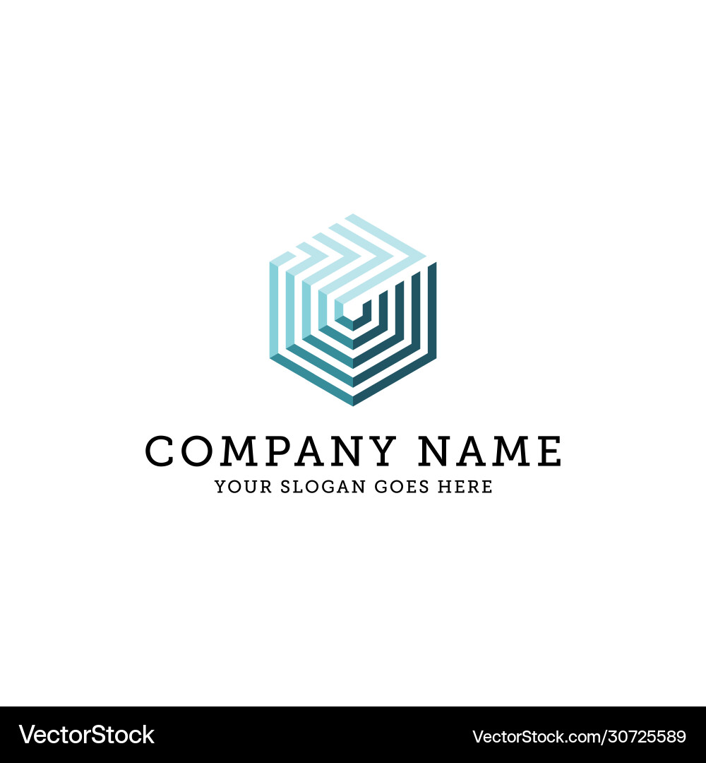 Monogram logo line abstract hexagonal logo Vector Image