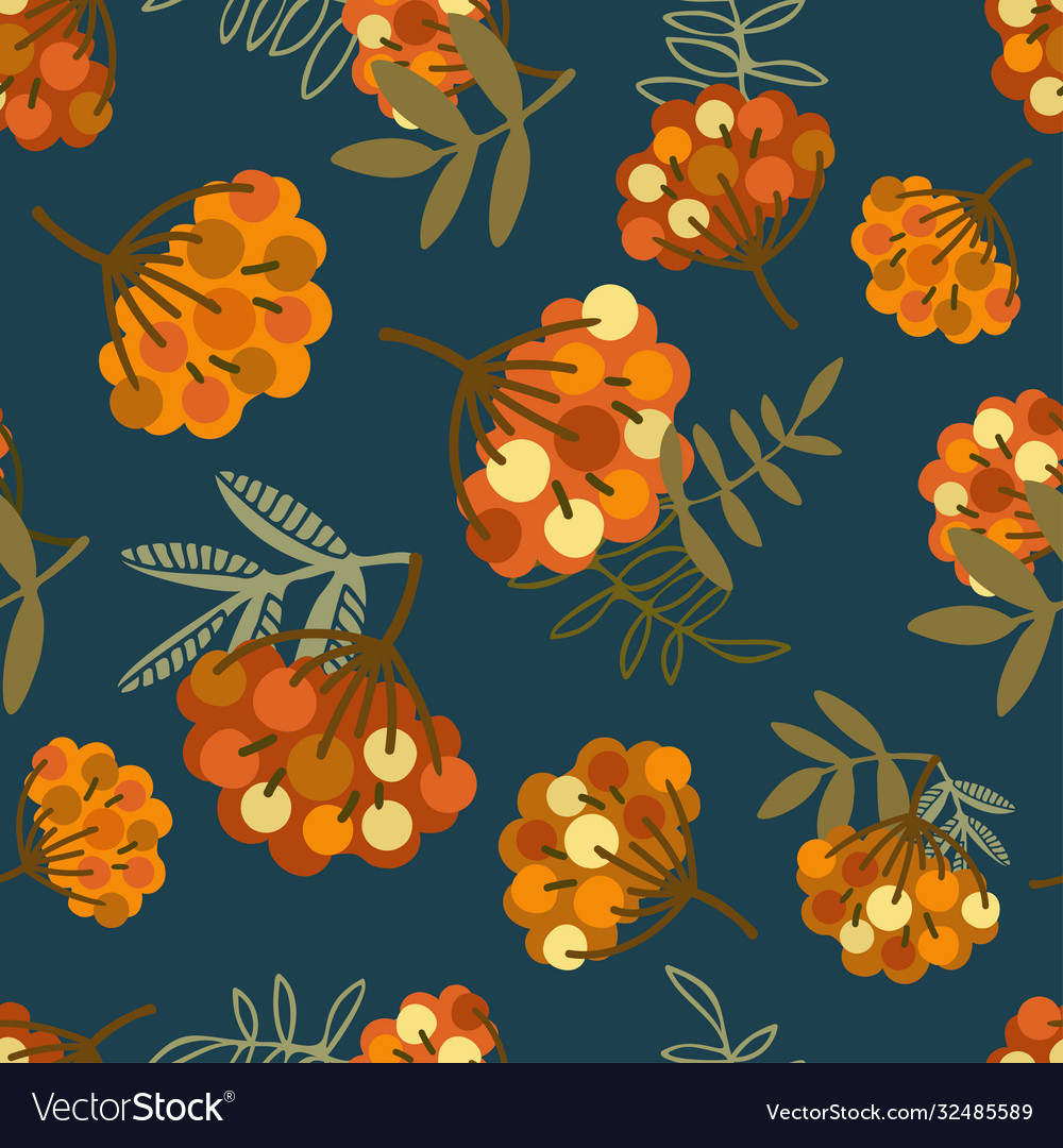 Seamless pattern colorful design rowan vector image Seamless pattern colorful design rowan