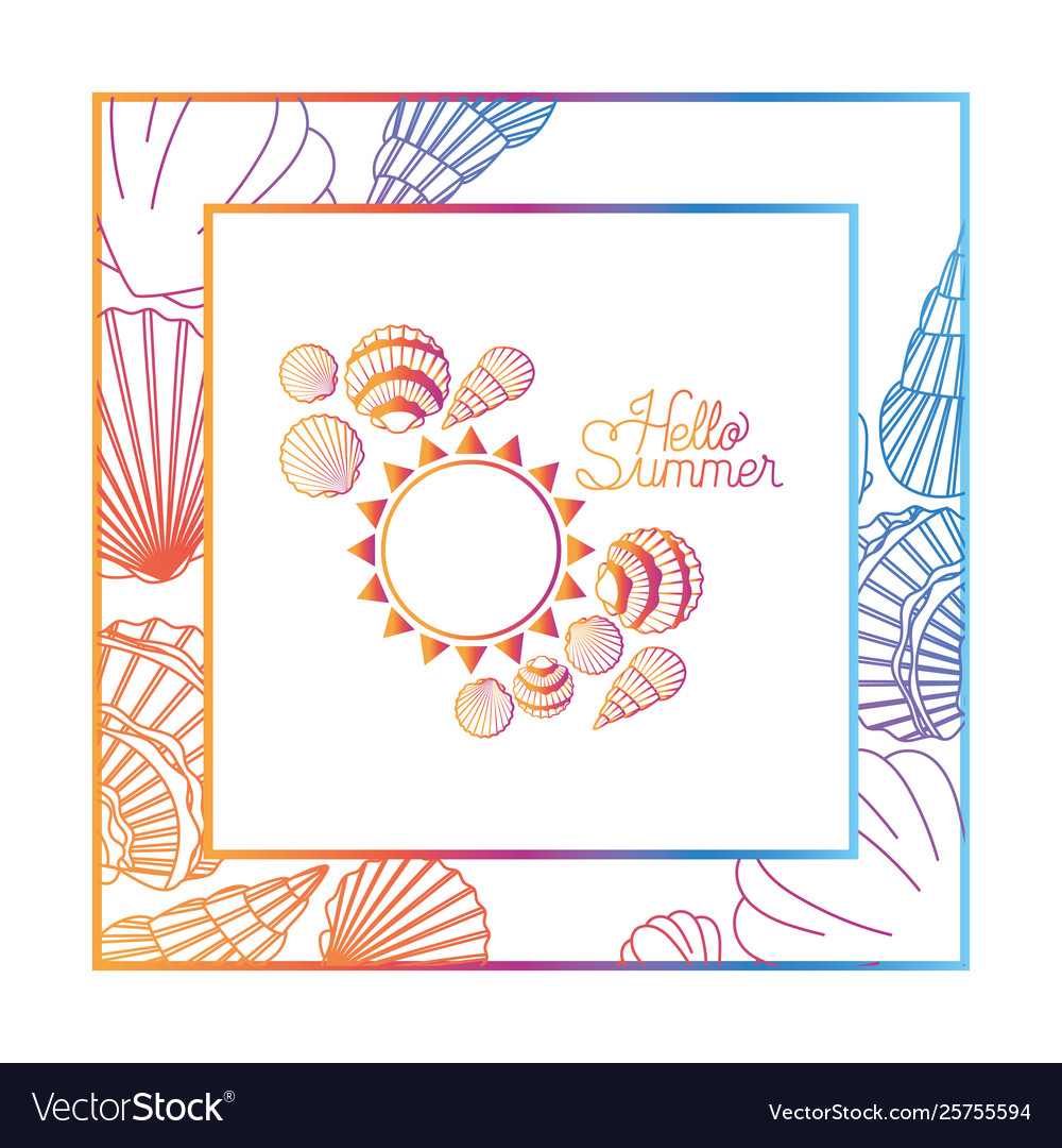 Hello summer label with colorful frame