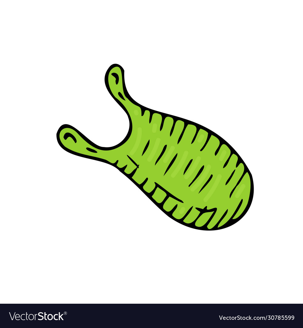 Isolated element green bacterium without vector image Isolated element green bacterium without