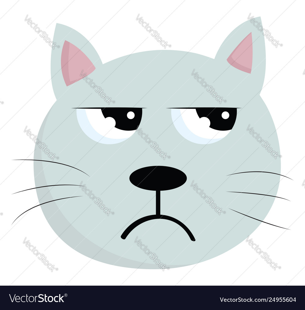 A face an angry cat or color