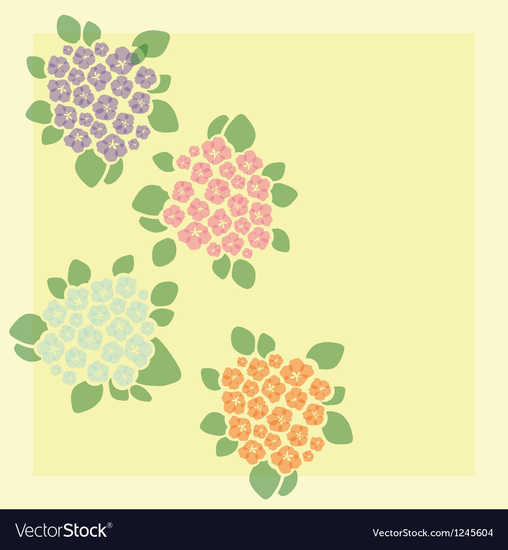 Violets Royalty Free Vector Image - VectorStock