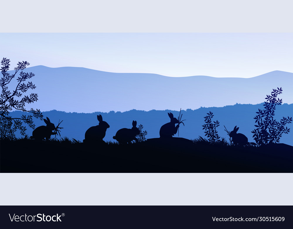 Group rabbits in meadow natural forest