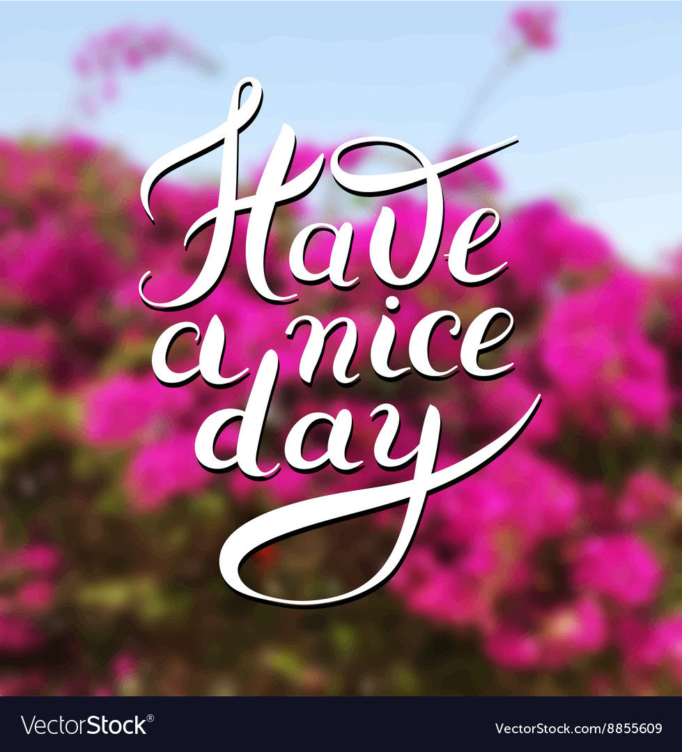 48++ Have a nice day bilder , Have a nice day hand lettering phrase on floral Vector Image