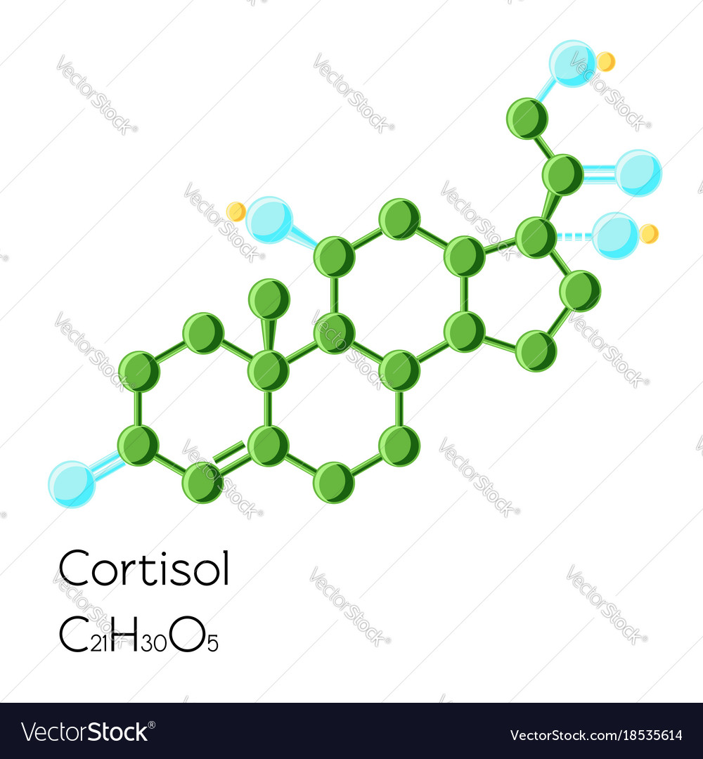 Cortisol Hormone Structural Chemical Formula Vector Image 1476