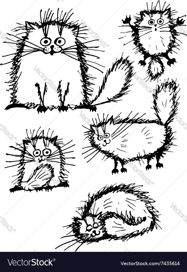 Fluffy white cats collection sketch for your Vector Image