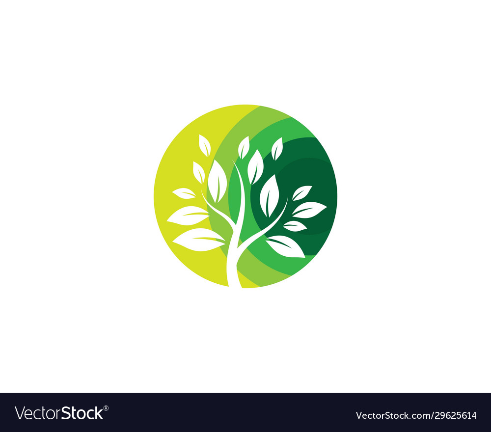 Tree symbol icon vector image Tree symbol icon