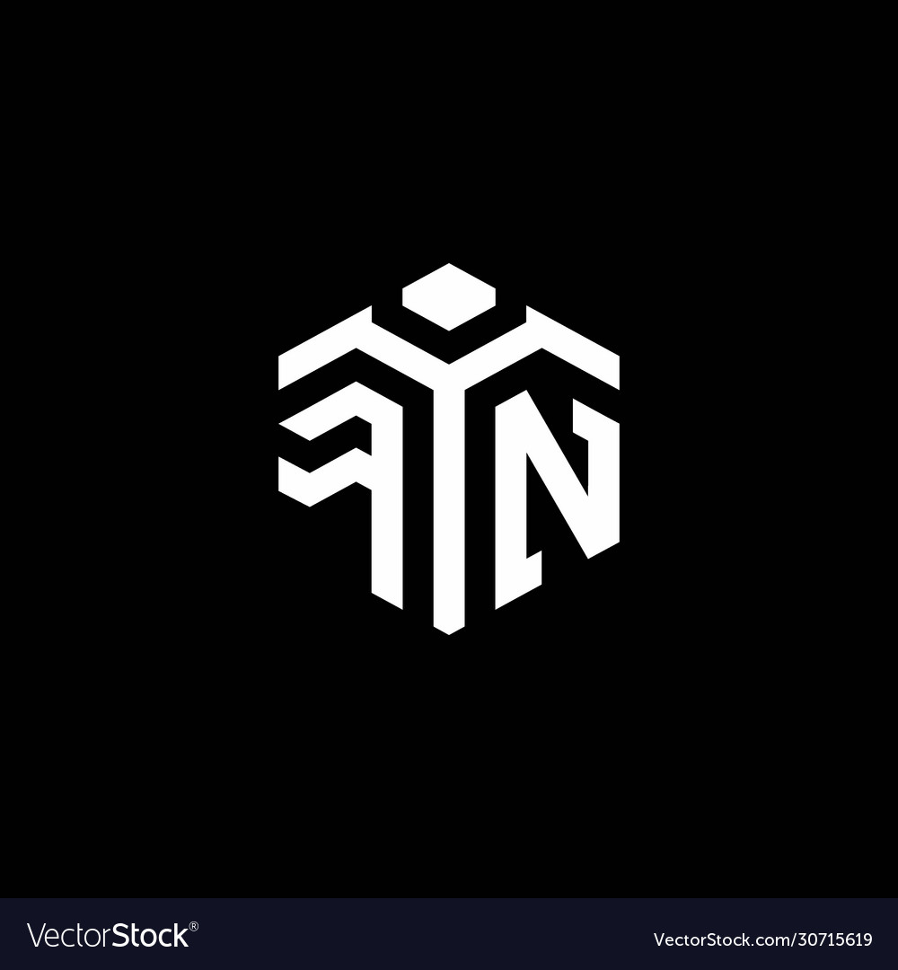 Fn monogram logo with abstract hexagon style