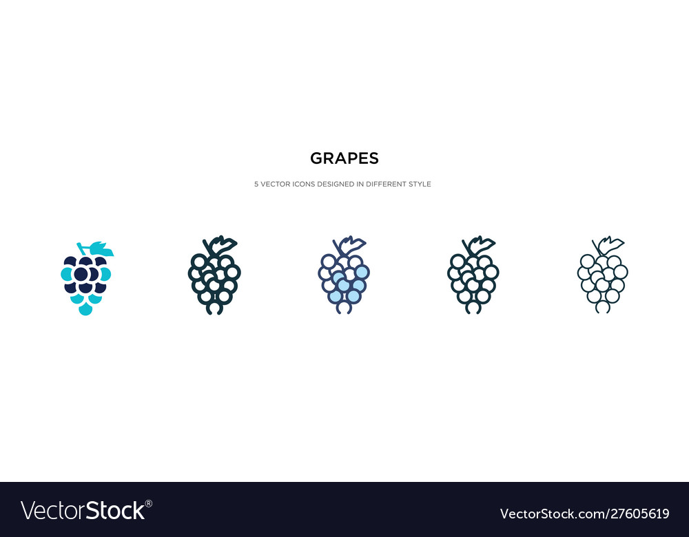 Grapes icon in different style two colored