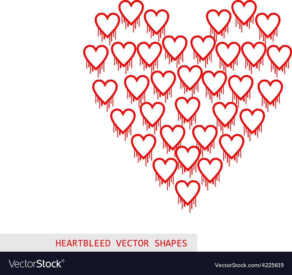 Heartbleed openssl bug shape