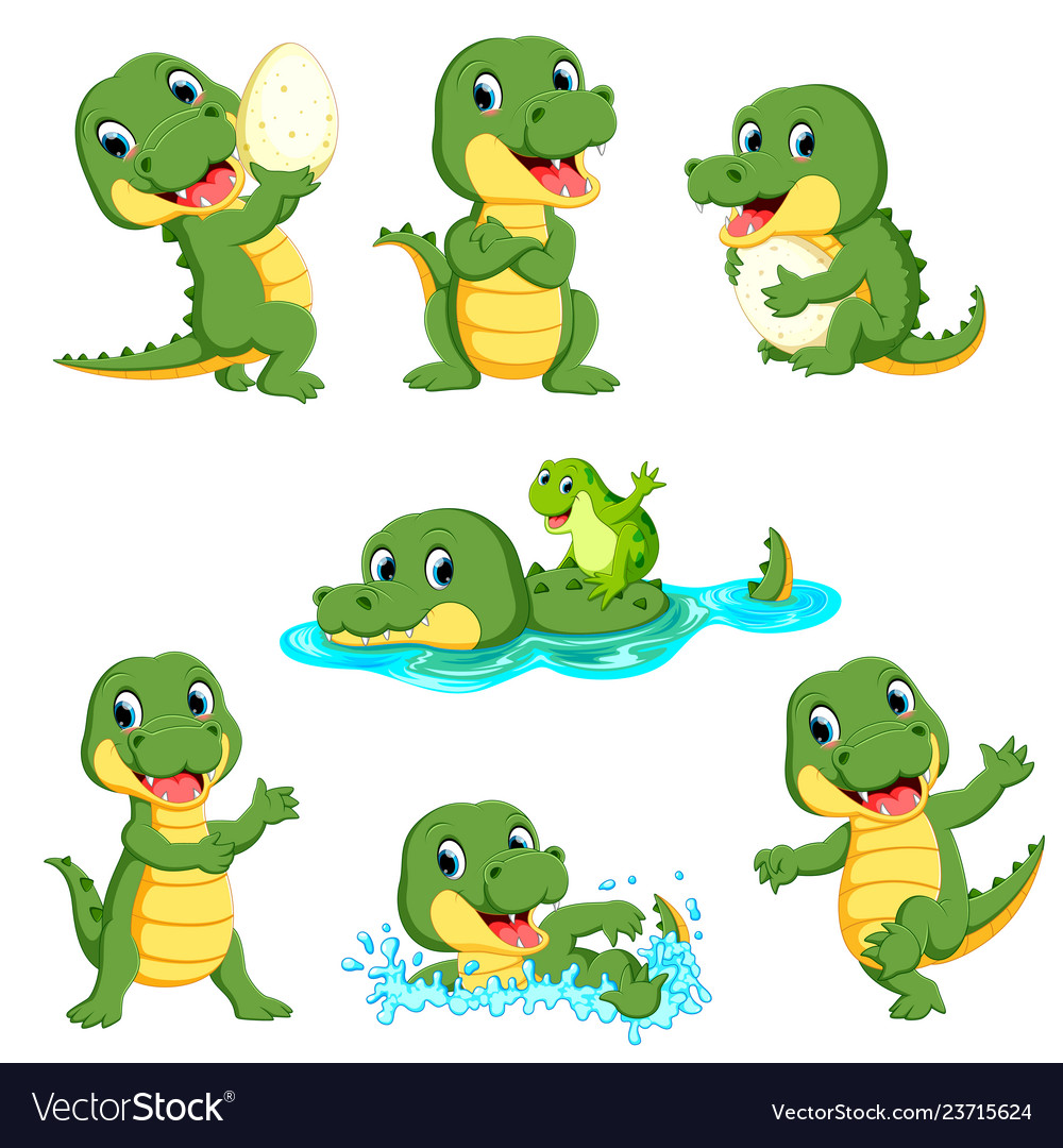 Collection of cute alligator character cartoon Vector Image