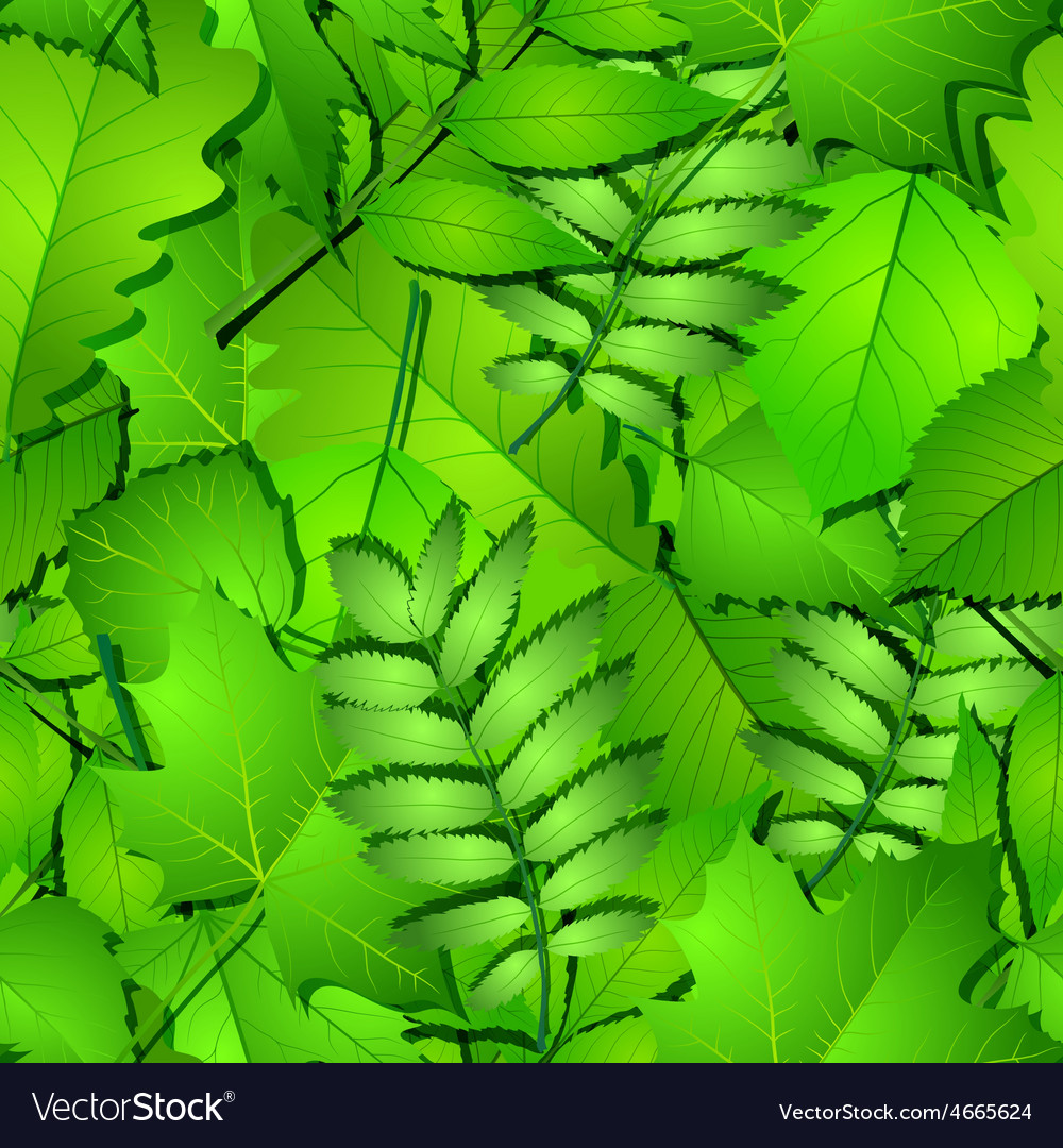 Seamless with green spring leaves Royalty Free Vector Image