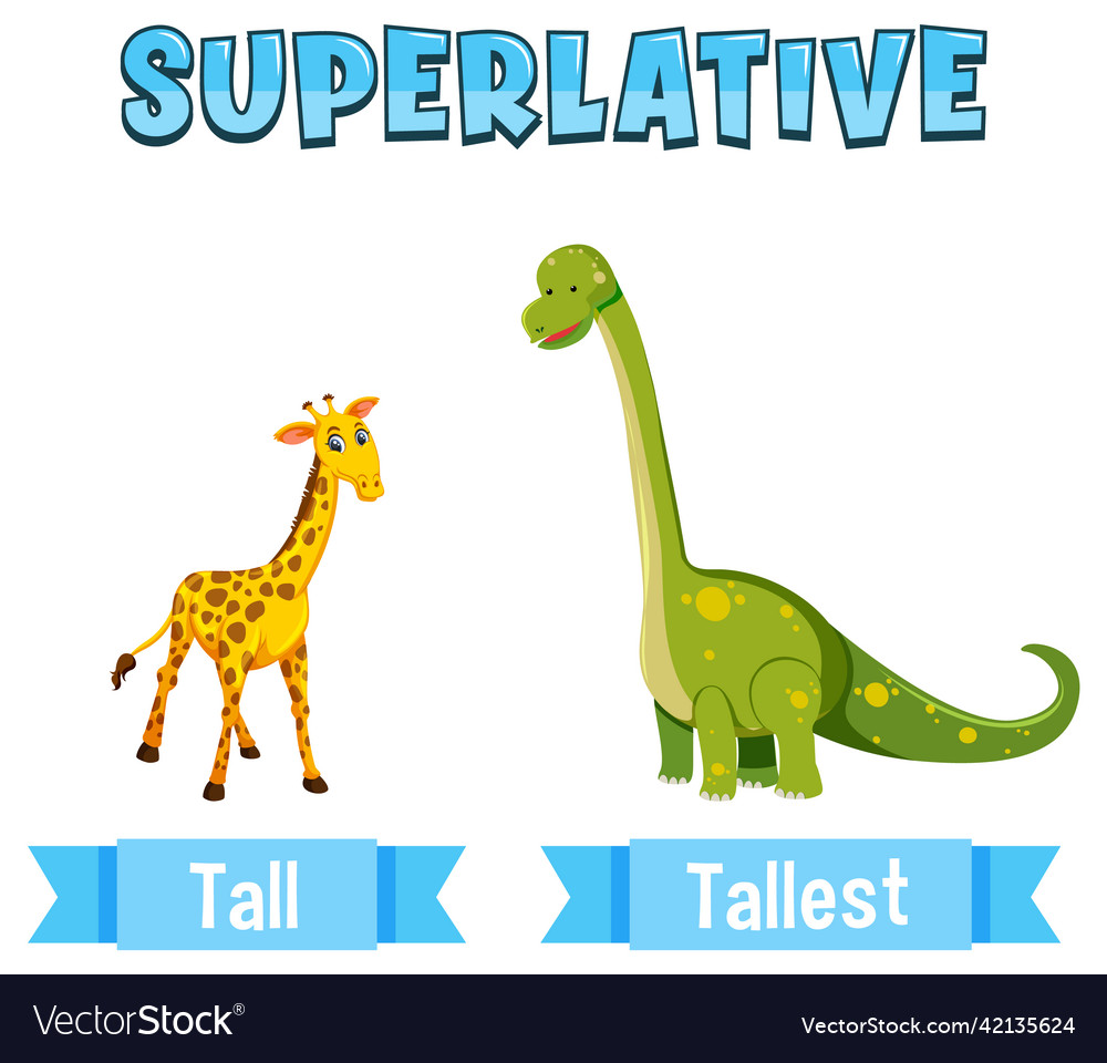 Superlative adjectives for word tall Royalty Free Vector Superlative adjectives for word tall Royalty Free Vector