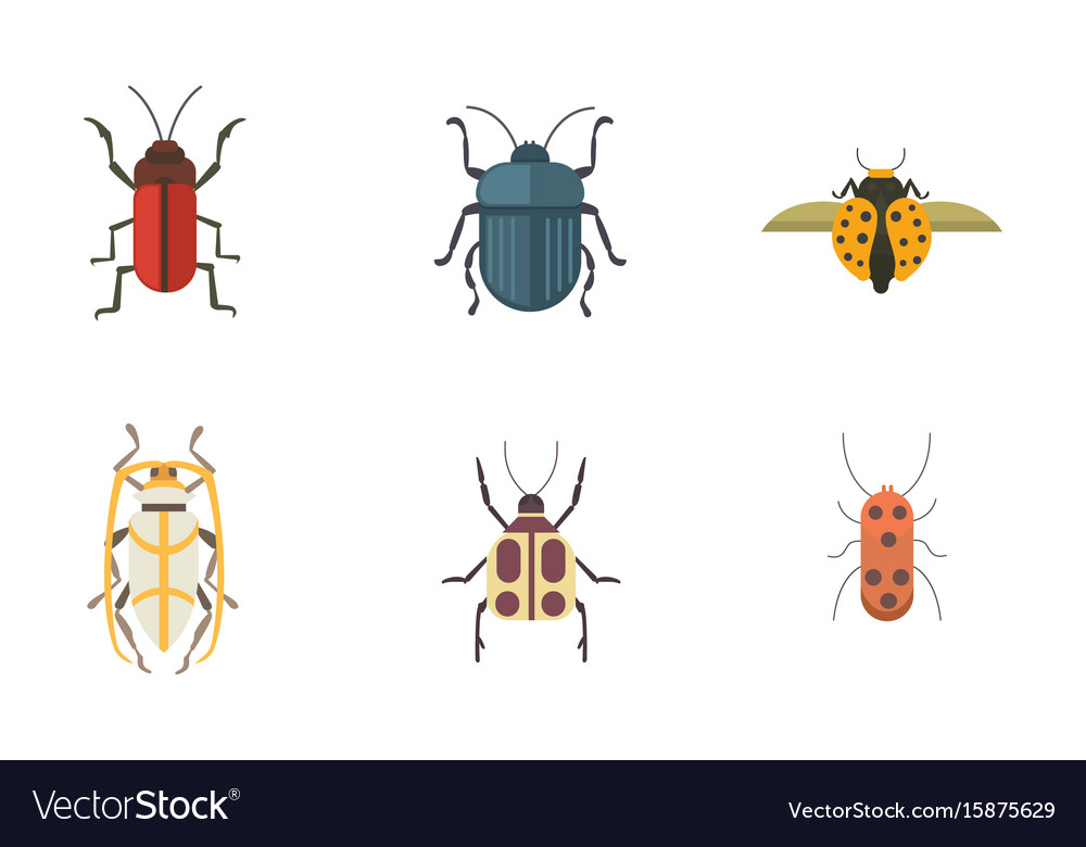 Set of insects flat style design icons