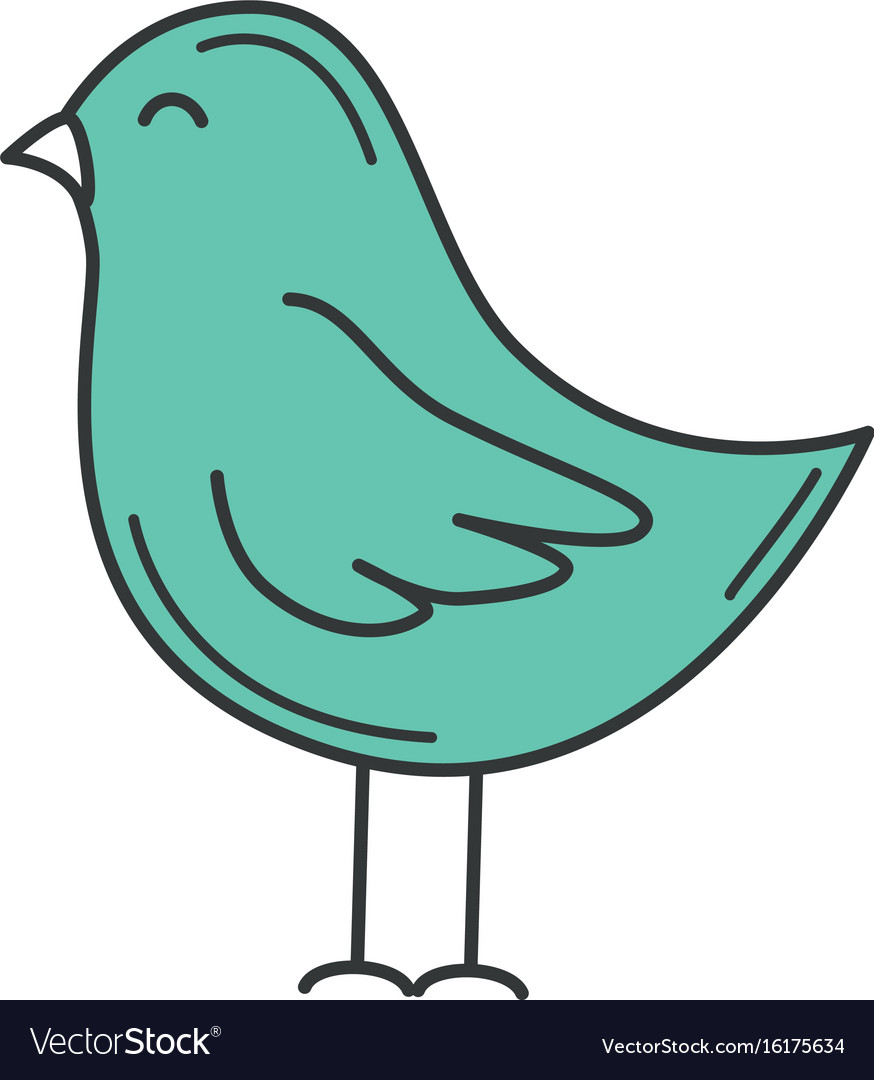 401700 Cute Bird Drawings Images Stock Photos  Vectors  Shutterstock