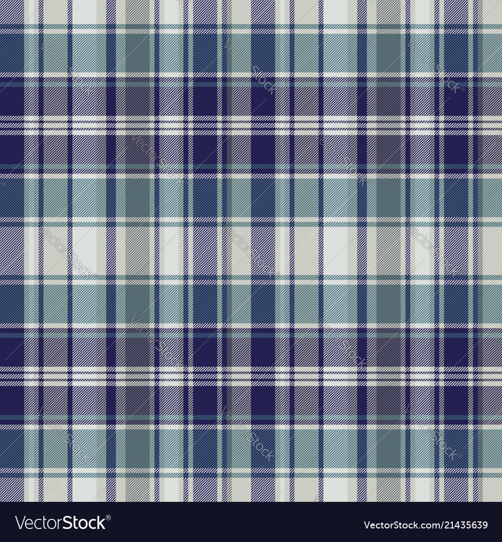 Blue striped tartan plaid seamless pattern Vector Image