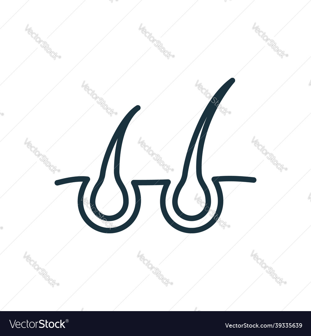 Concept of hair growth line icon grow linear