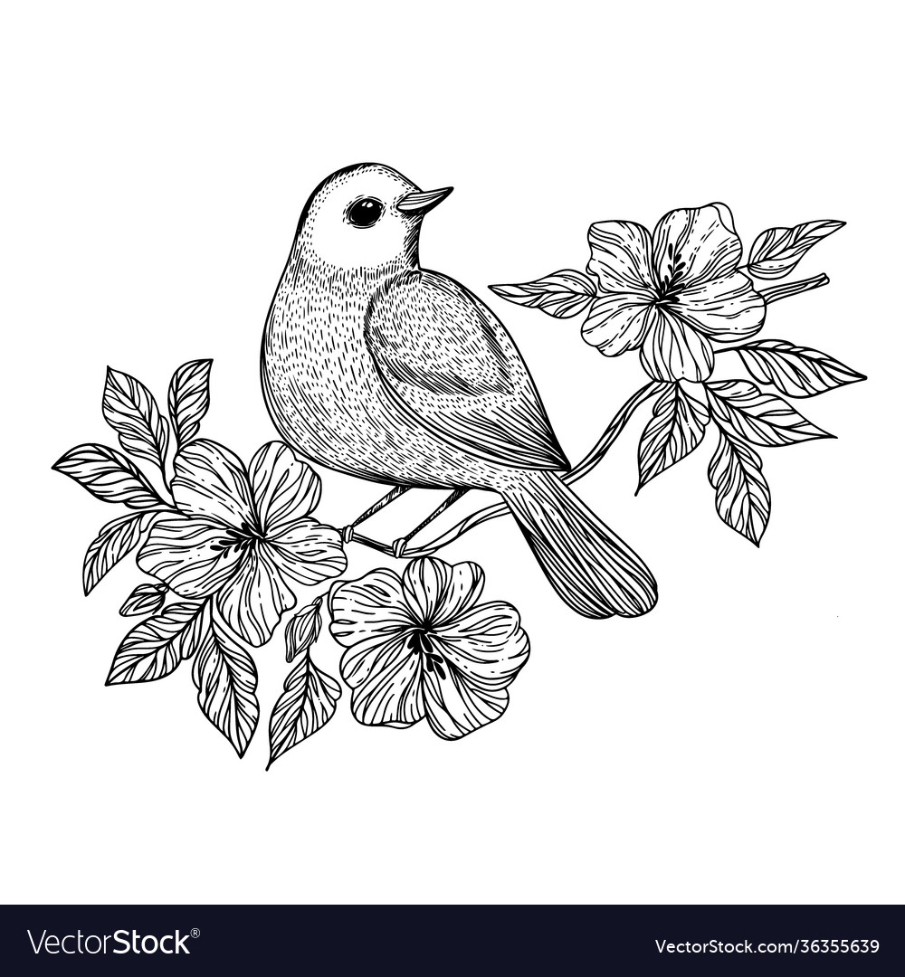 Nightingale songbird on a branch set Royalty Free Vector