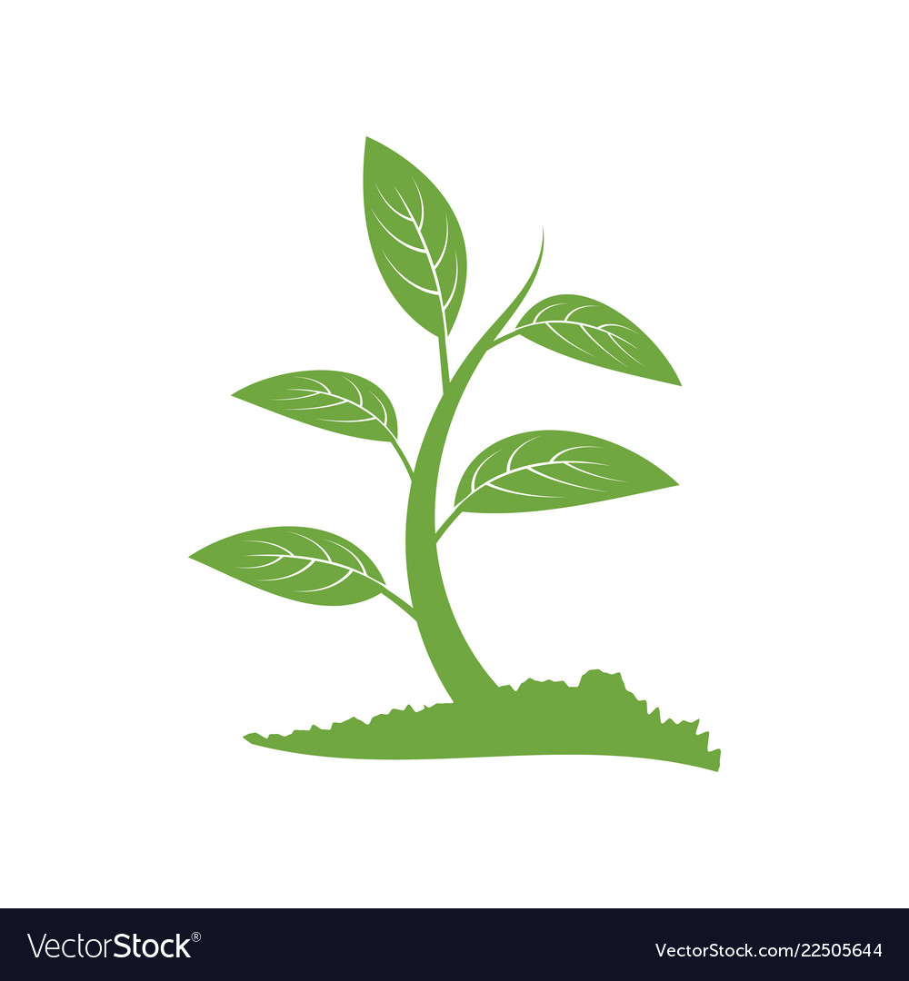 Green tree logo icon design template