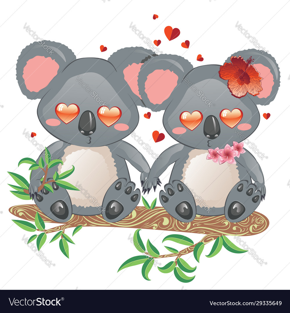 Couple koala bears Royalty Free Vector Image - VectorStock