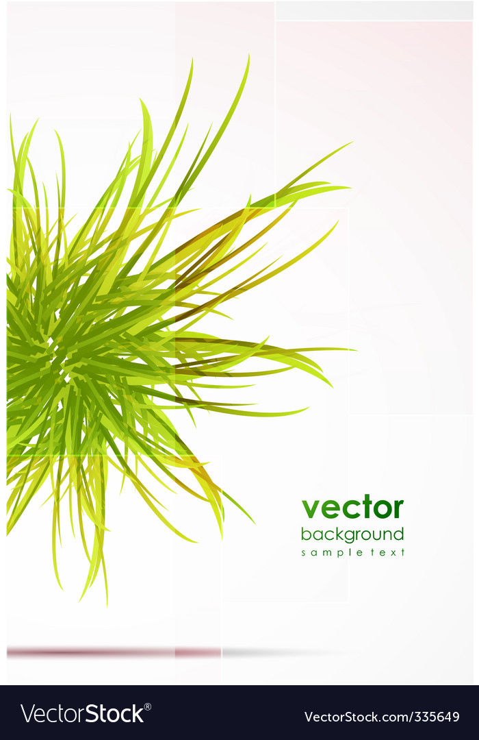Natural elements background Royalty Free Vector Image