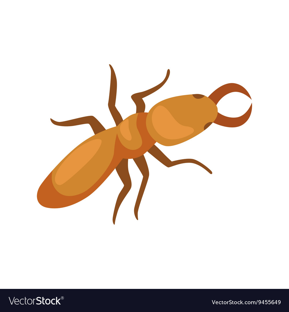 Pest control concept with insects exterminator Vector Image