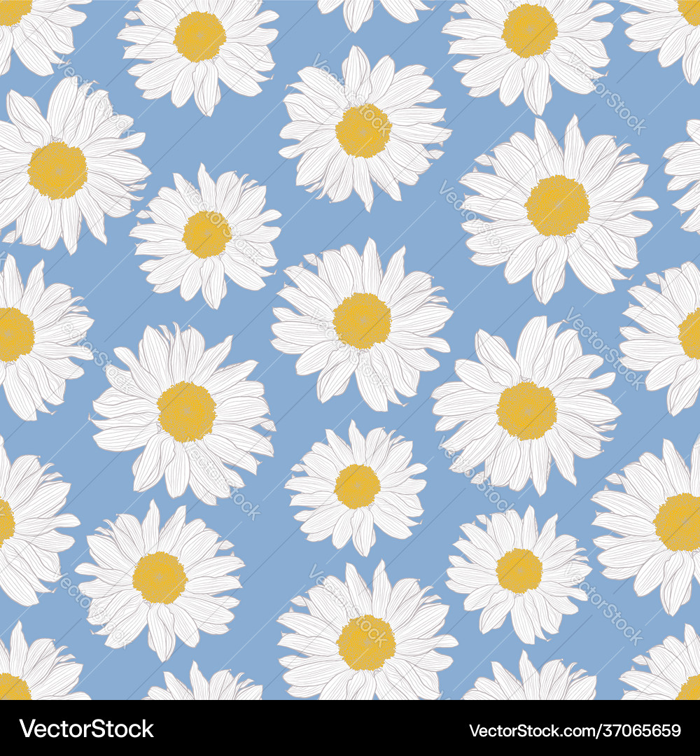 Seamless pattern chamomile on light blue Vector Image