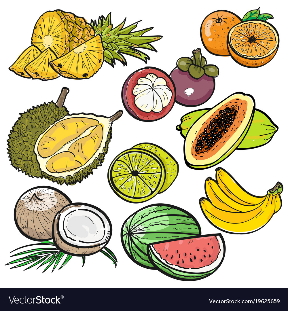 Set Of Color Doodle Tropical Fruit Royalty Free Vector Set Of Color Doodle Tropical Fruit Vector Image