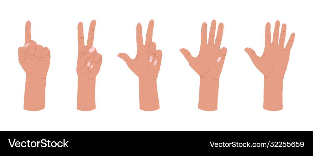 Various gestures human hands Royalty Free Vector Image