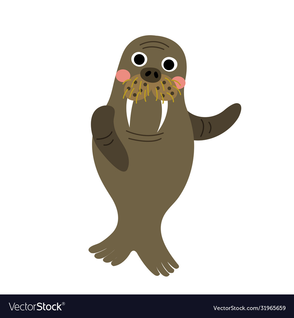 Walrus animal cartoon character Royalty Free Vector Image