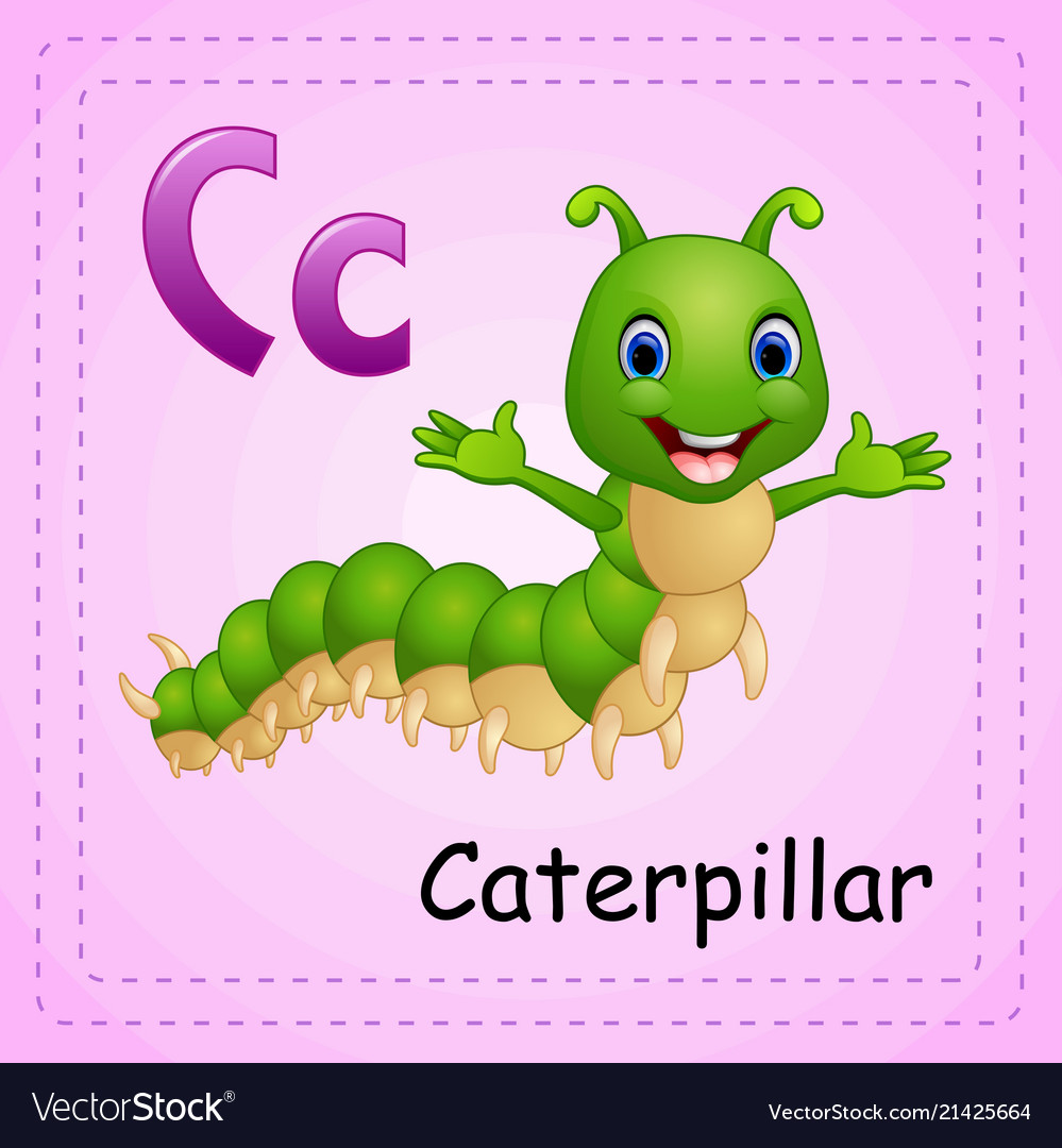 Animals alphabet c is for caterpillar Royalty Free Vector Animals alphabet c is for caterpillar Royalty Free Vector