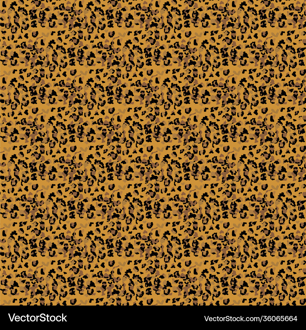 Fashionable leopard seamless pattern stylized Vector Image