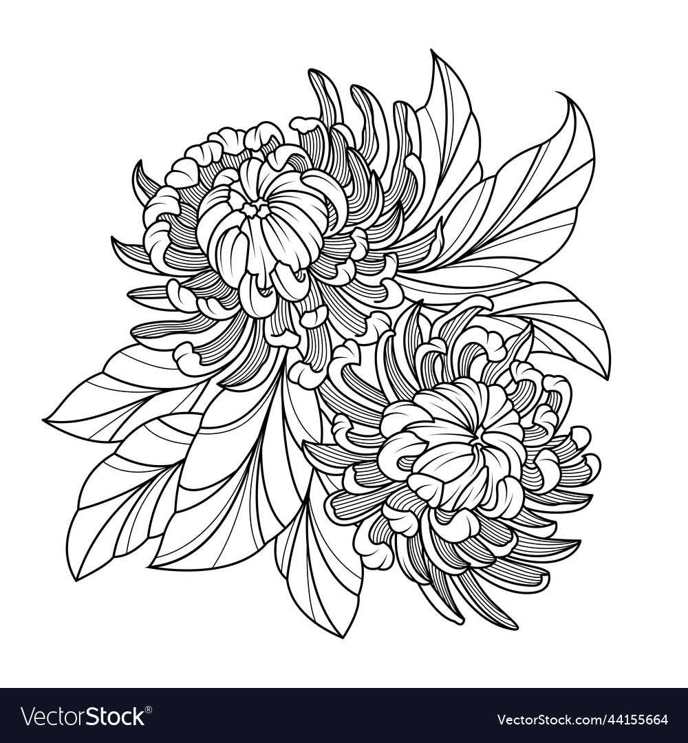 Monochrome chrysanthemum in line art style Vector Image