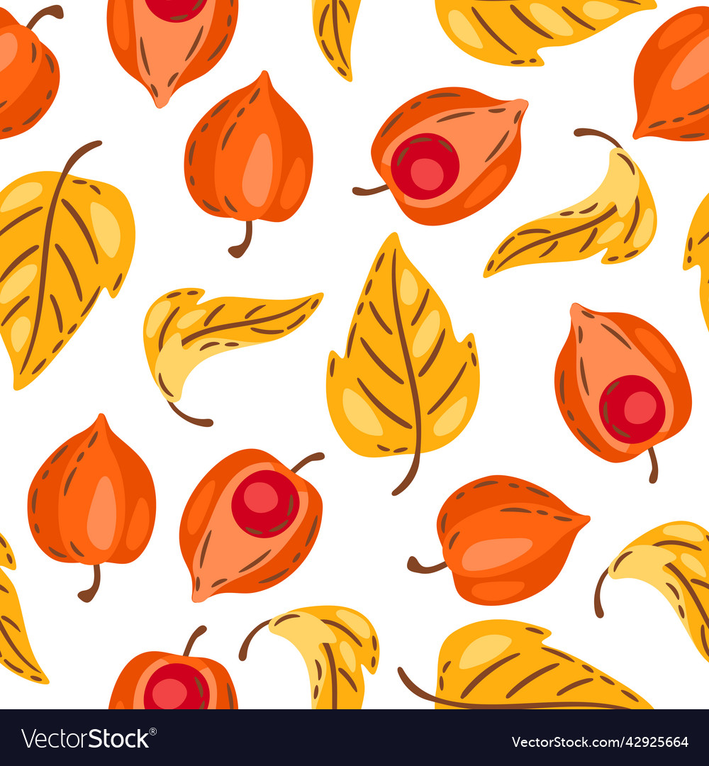 Seamless pattern of fesalis with berries image vector image Seamless pattern of fesalis with berries image