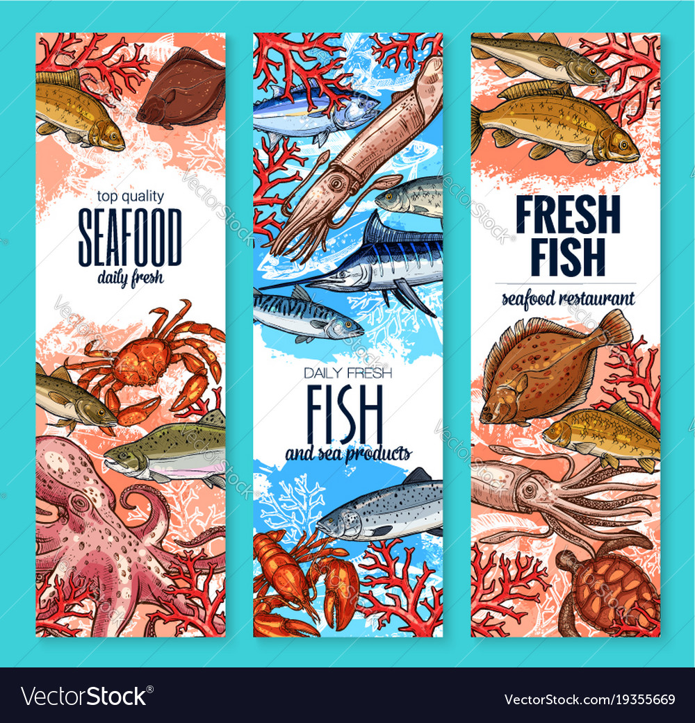 Banners Fresh Seafood Fish Product Sketch Vector Image