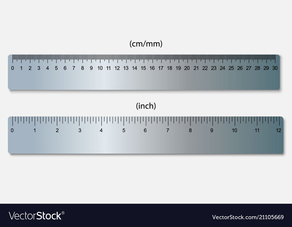 Rulers marked in centimeters and inches Royalty Free Vector