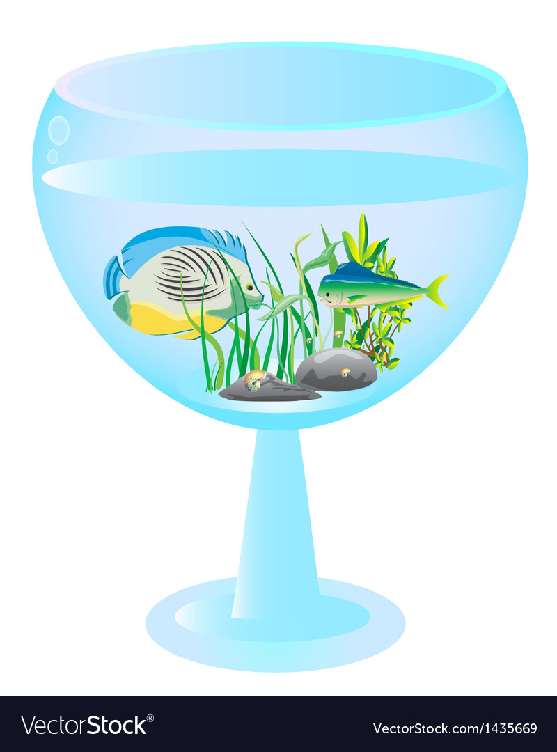 Tall wine glass aquarium with fishes