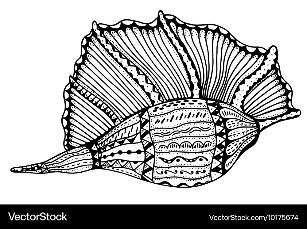 Shell Stylization Entangle stylized shell Royalty Free Vector Image