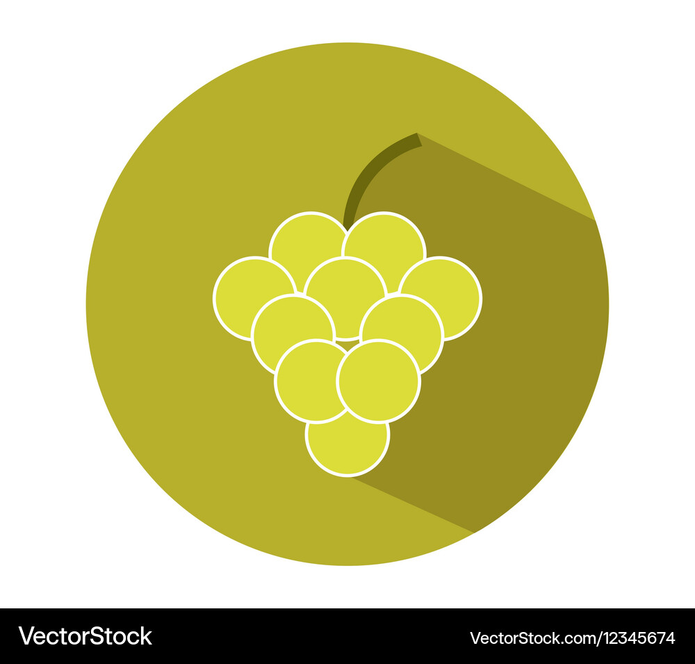 Icon grape Royalty Free Vector Image - VectorStock