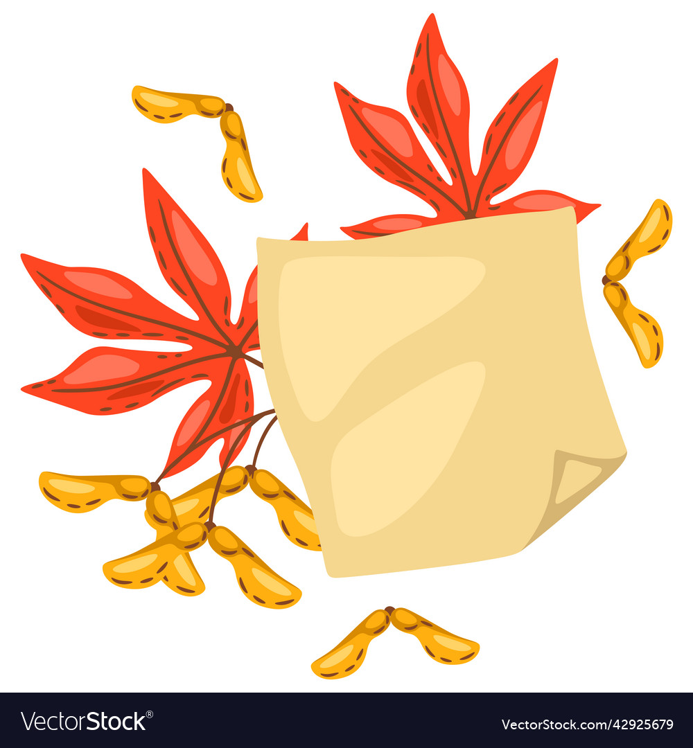 Background from maple leaves with seeds image Vector Image Background from maple leaves with seeds image