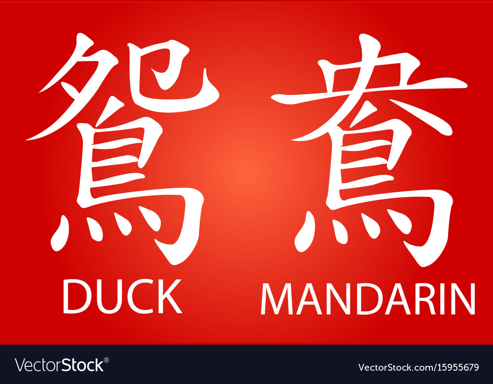 Chinese characters writing with different