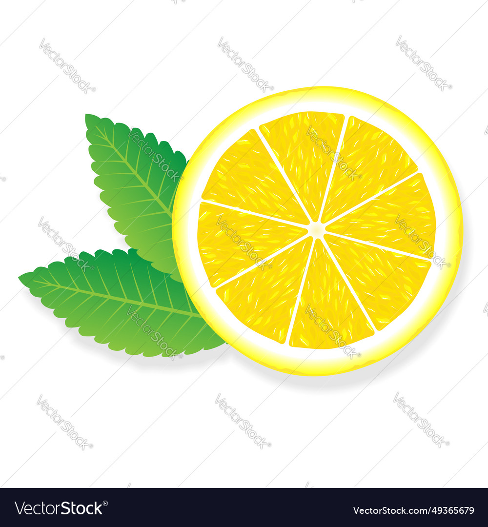 Lemon slice for web isolated on white background