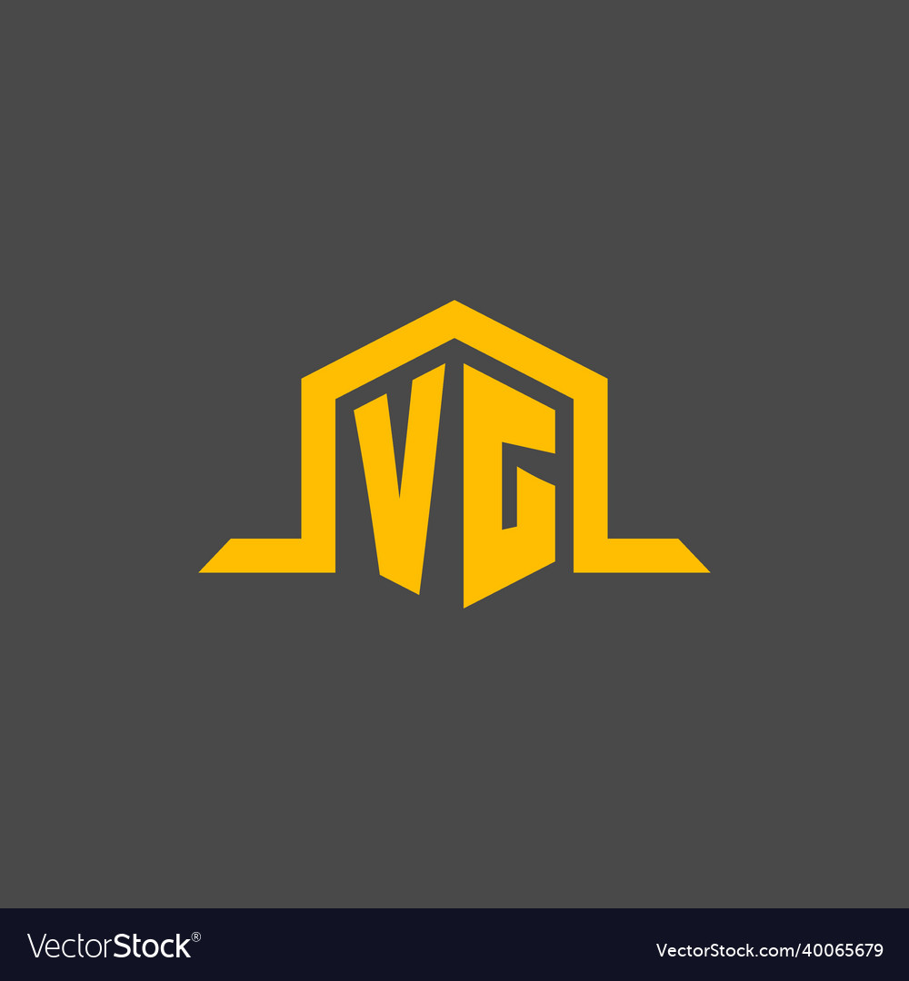 Vg monogram initial logo with hexagon style design