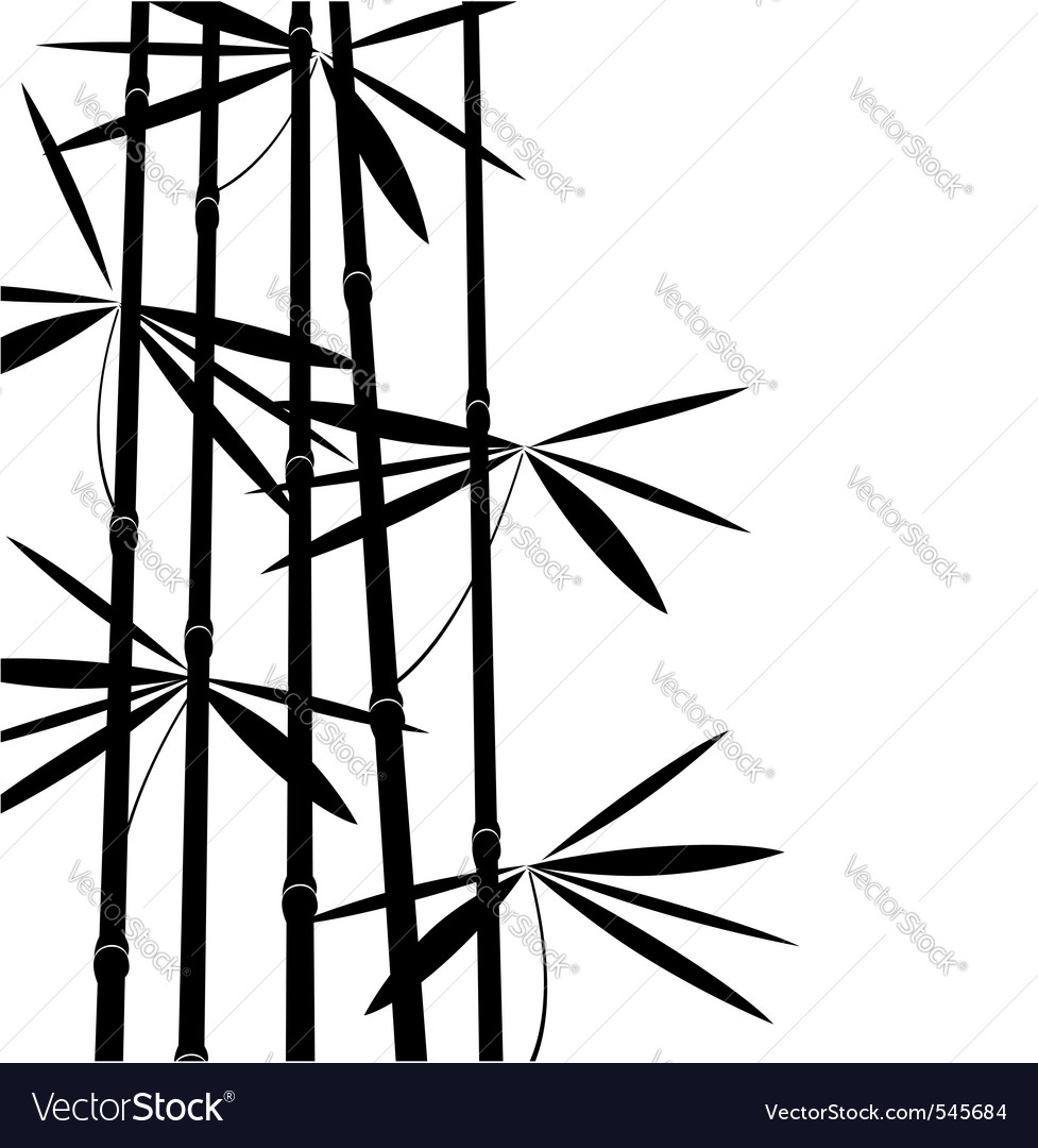 Black and white bamboo Royalty Free Vector Image