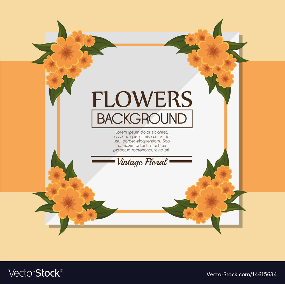 Floral background decorative frame