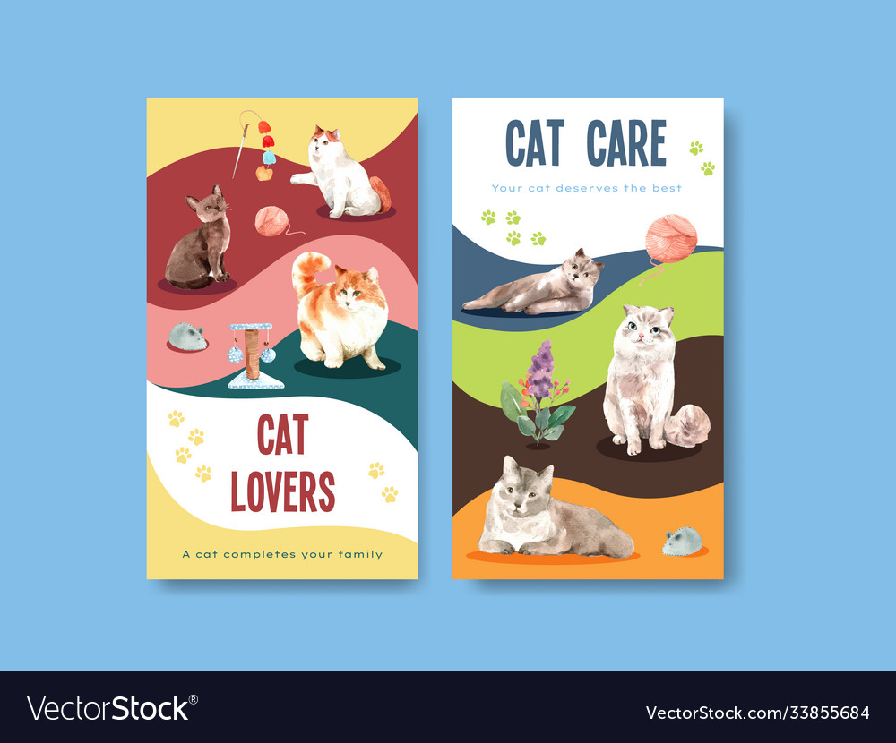 Instagram template design with cute cat for Vector Image