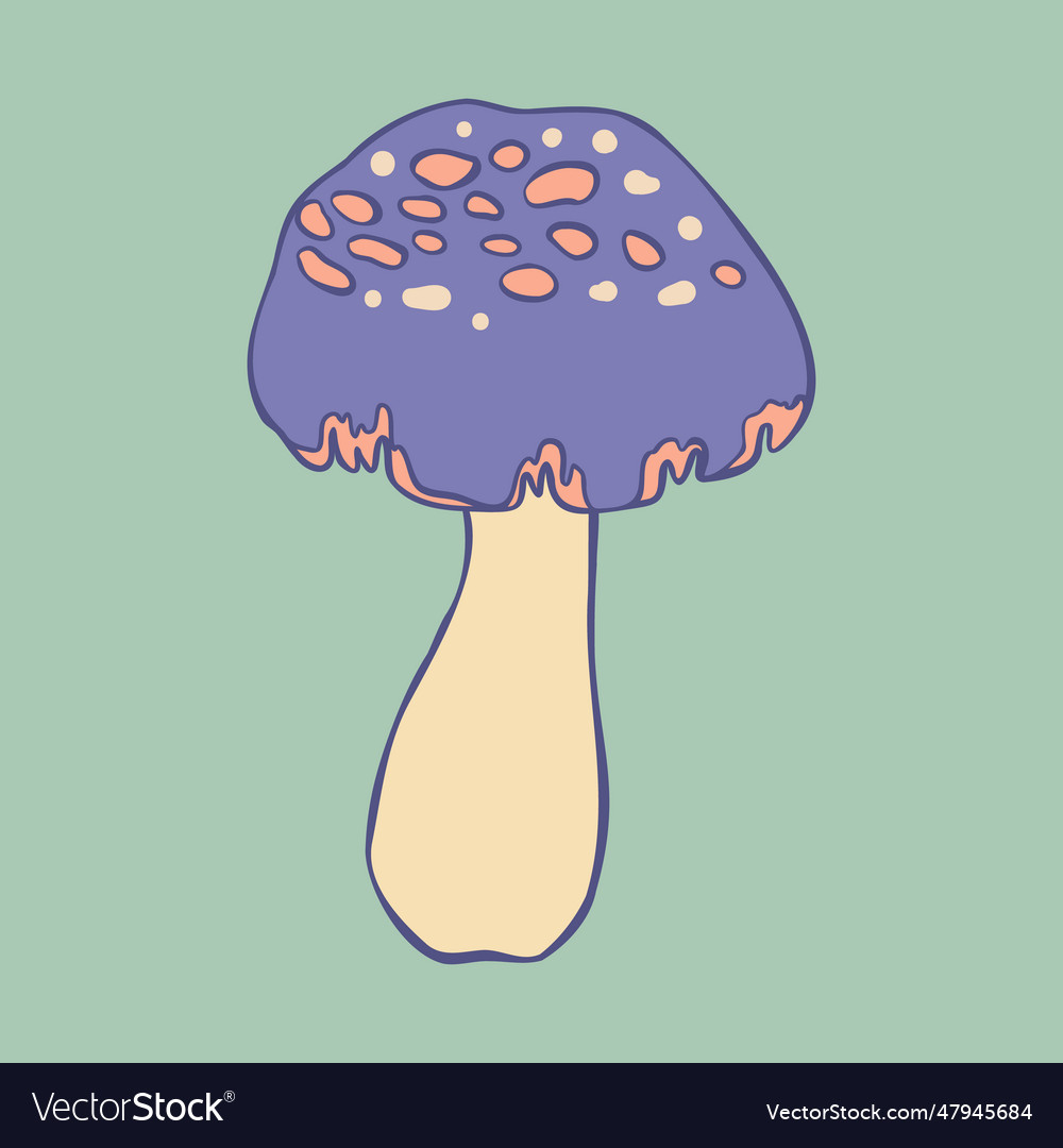 Magic mushroom psychedelic hallucination Vector Image