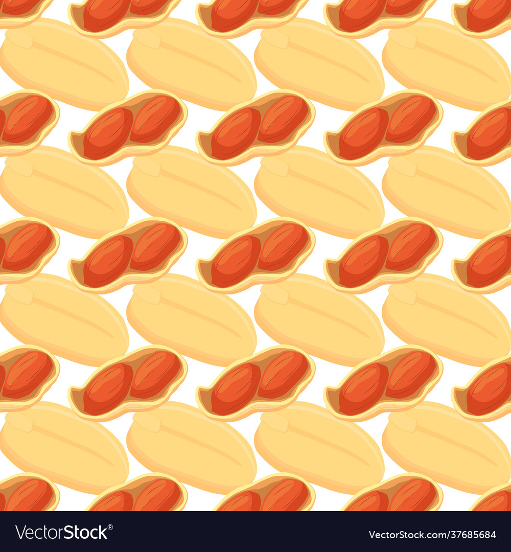 On theme big pattern identical types peanut vector image On theme big pattern identical types peanut