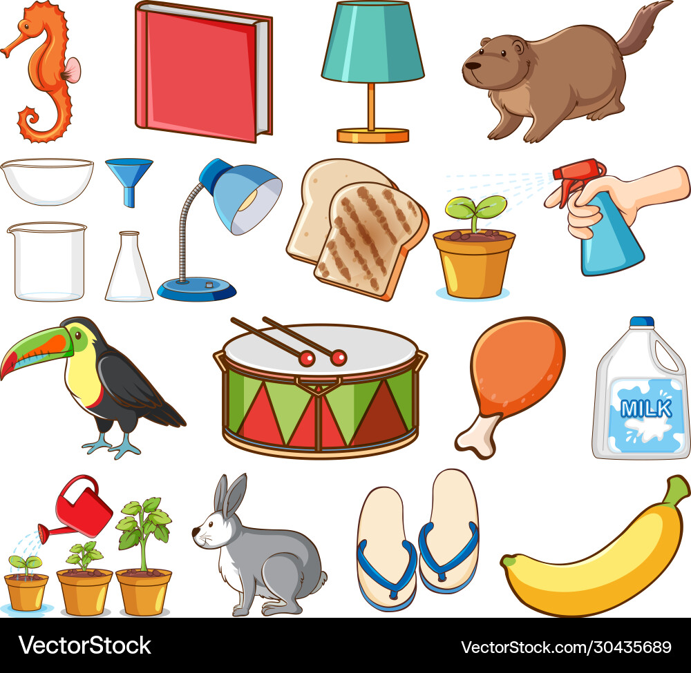 Large set different animals and other objects Vector Image